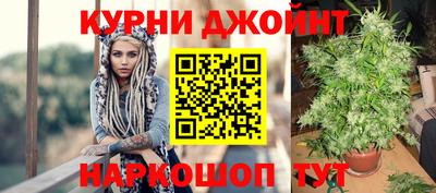 мяу мяу мука Будённовск