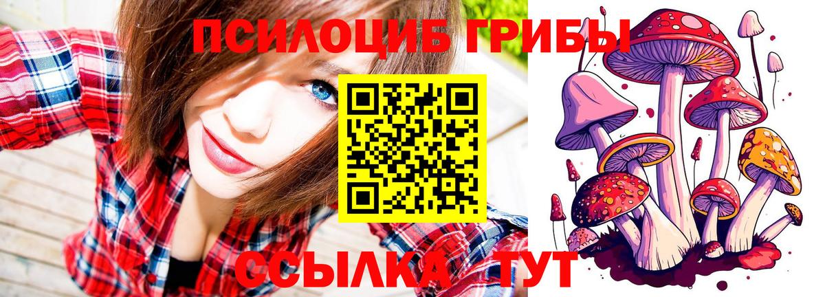 Реутов  Галлюциногенные грибы мицелий  Галлюциногенные грибы мухоморы  цены наркотик  Вход с VPN 