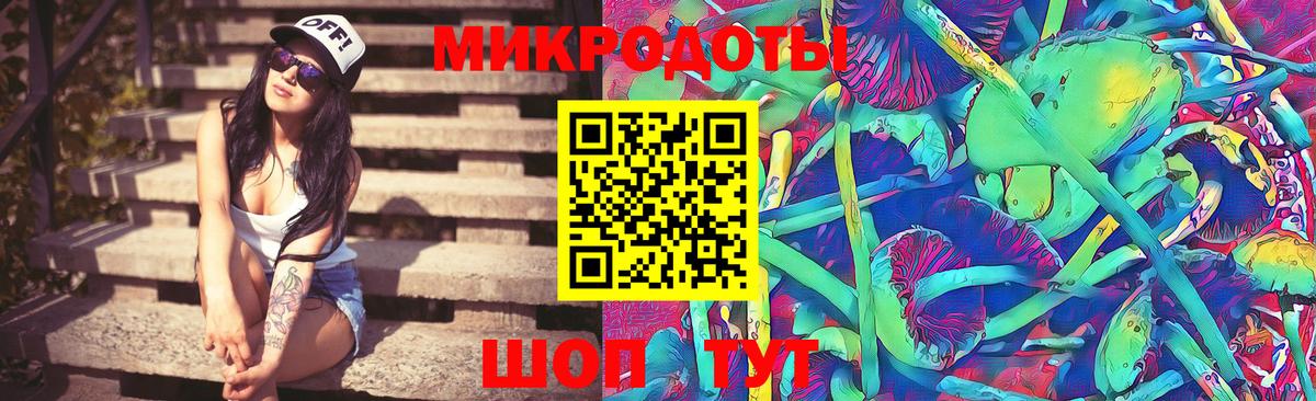 Псилоцибиновые грибы Cubensis Реутов